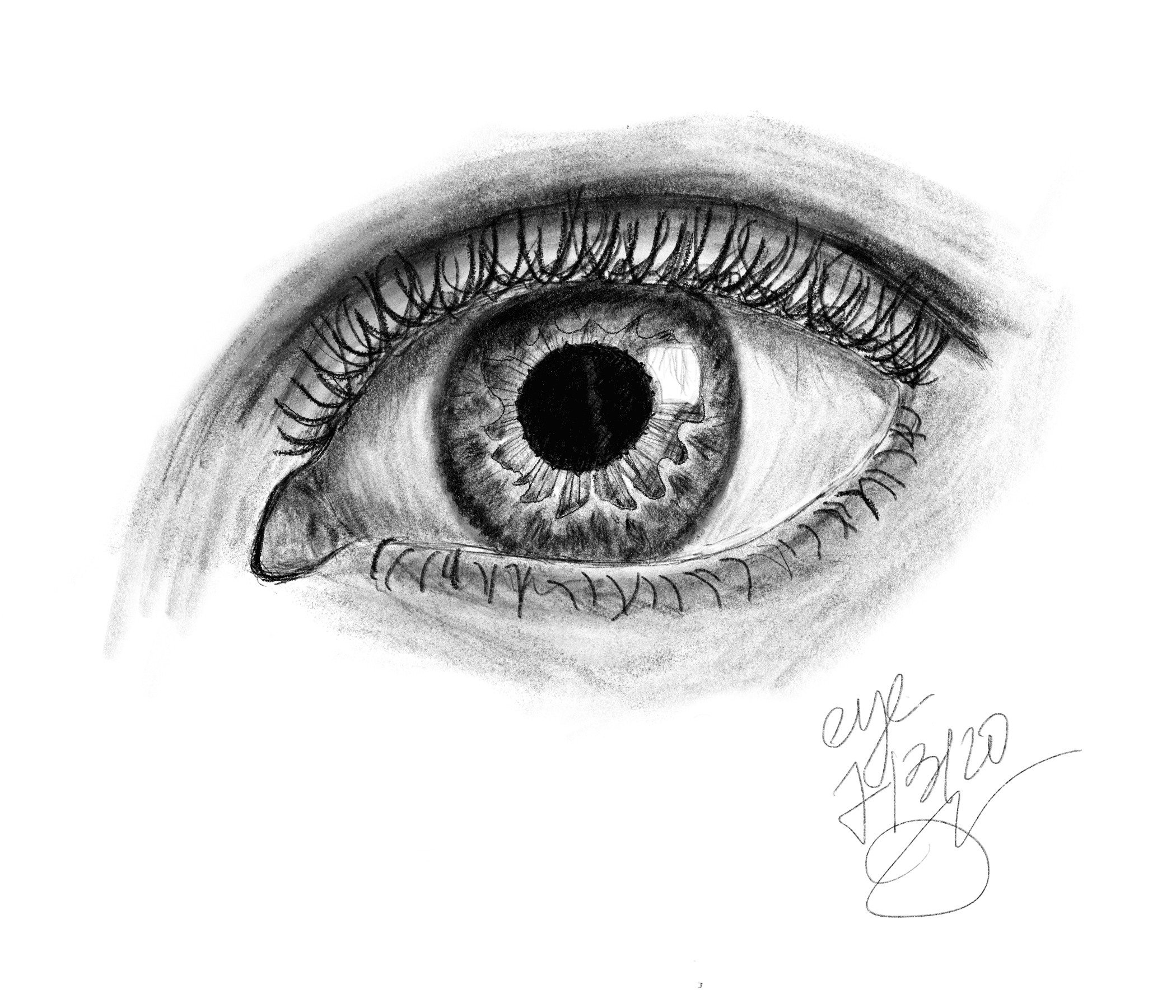 Eye