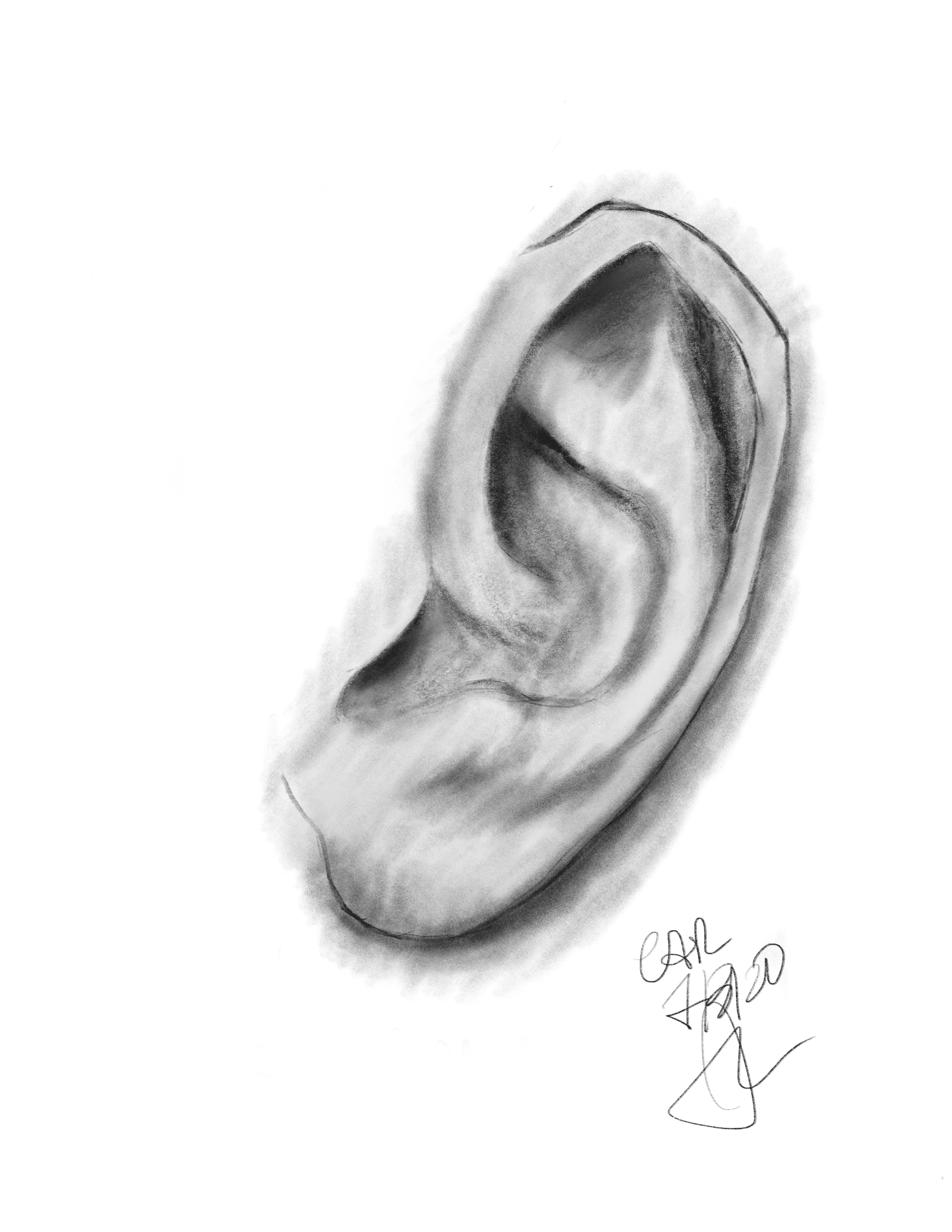 Ear
