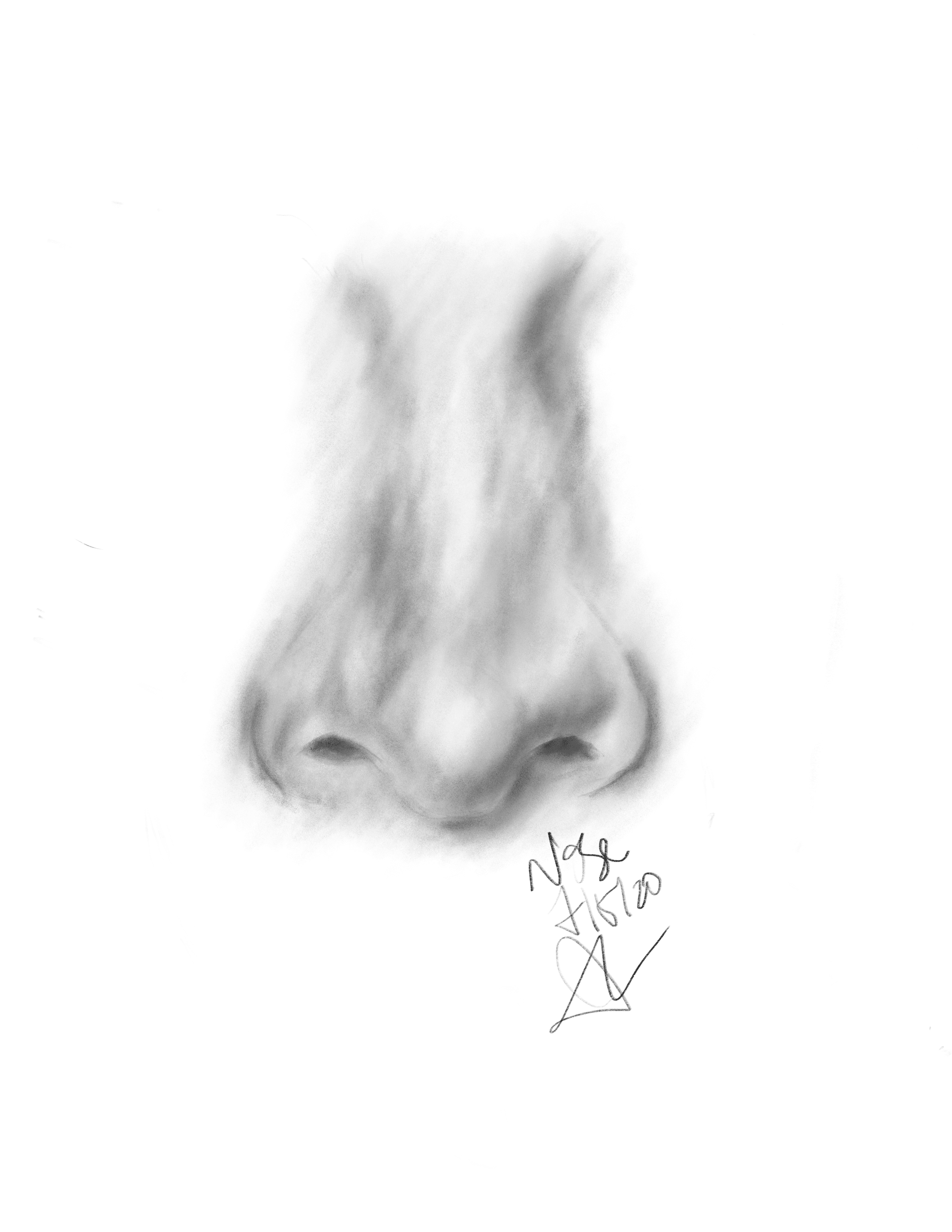 Nose